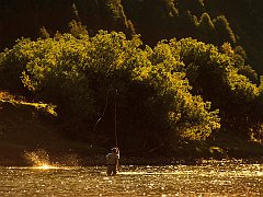 Madison River, Montana